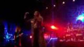 Saxon - The great white buffalo