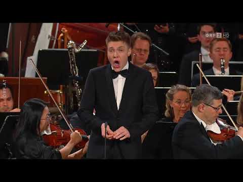 Alois Mühlbacher - Panis Angelicus (César Franck) Christmas in Vienna 2017