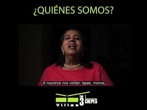 Entrevista empresarial | Villas Los 3 Chepes – Hospedaje en Golfito, Puntarenas, Costa Rica