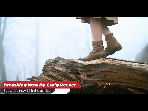 Breathing Now - Craig Reever | Indie Pop & Ambient Vibes | @musicmuvez
