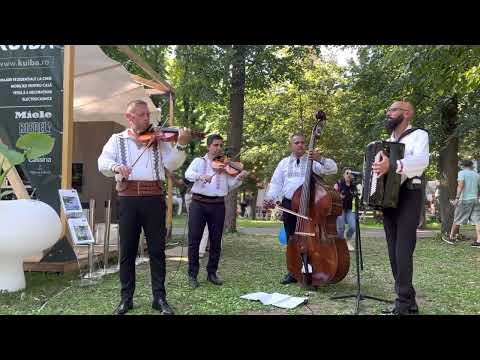 Ceterașii de la Gherla-“M-am suit în dealul Clujului” -📀by COVER