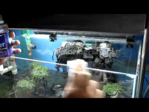 Terjual Cairan Pembersih Kerak Air Khusus Aquascape Aquarium