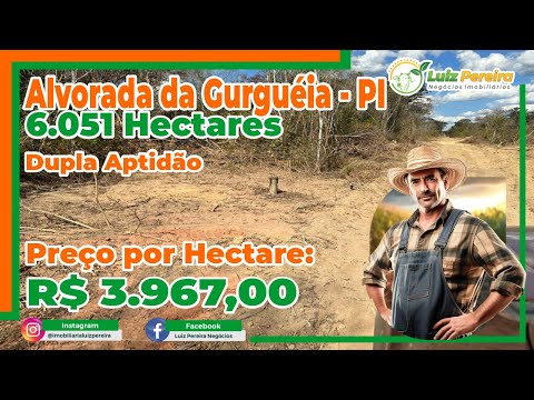 Grande fazenda em Alvorada do Gurguéia PI 6 051 Hectares, excelente para agricultura no Piauí
