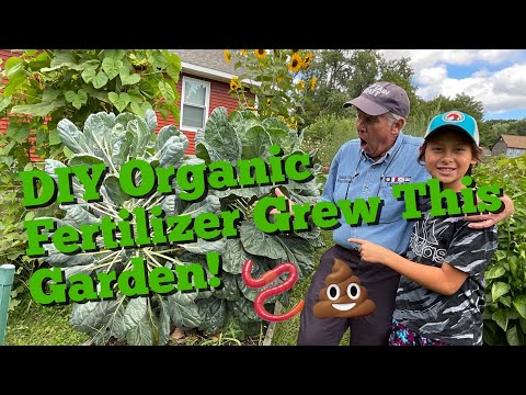 Why Every Gardener Should Raise Composting Worms