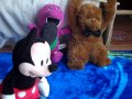 Mickey Mouse Clubhouse