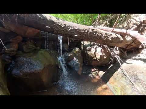 La Toma - Profesor Salvador Mazza