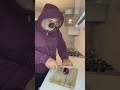 Gino Daddy Bear Cuts The Onion And Farts