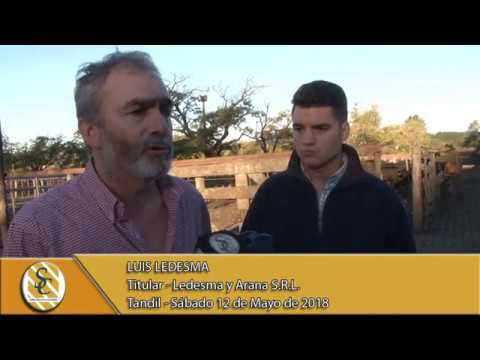 12-05-18 Nota Luis Ledesma - Titular - Ledesma y Arana S.R.L. - Tandil