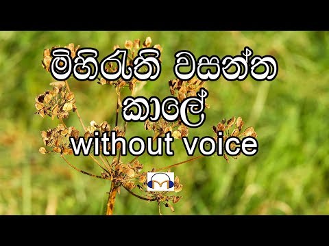 Mihirathi Wasantha Kale Karaoke (without voice) මිහිරැති වසන්ත කාලේ