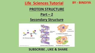 PROTEIN STRUCTURE (Part -2)                                                       #Biochemistry