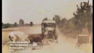 Cattle Decapitation - The Decapitation of the Cattle