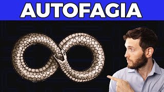 Autofagia: cómete a tí mismo para vivir más