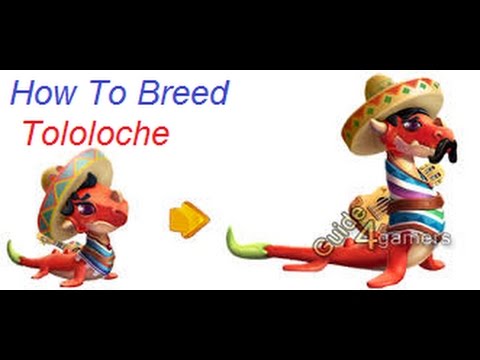 How To Breed Tololoche Dragon!!(All Information in Description) #35