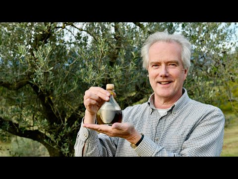 download lagu mp3 mp4 Olive, download lagu Olive gratis, unduh video klip Olive