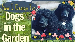 Dogs in the Garden: How I Keep My Plants & Pou