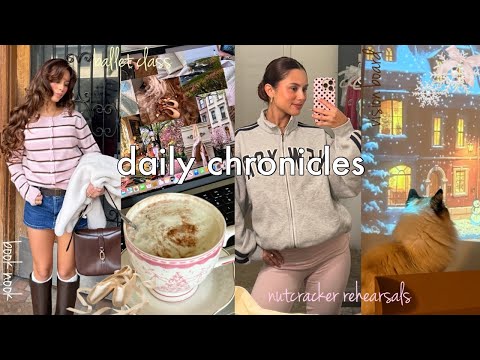 Daily chronicles🦌nutcracker, coffee shop, book nook, vision board