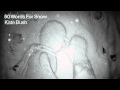 Kate Bush - "Snowed In At Wheeler St." (Full Album ...