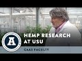 Utah State University Hemp Research