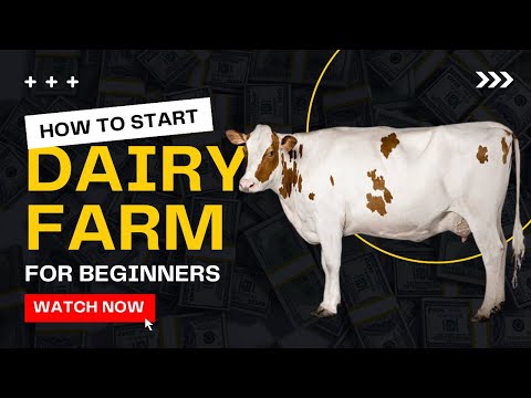 , title : 'How to Start Dairy Farming for Beginner | Cow Farming Guide - Everything You Need to Know'