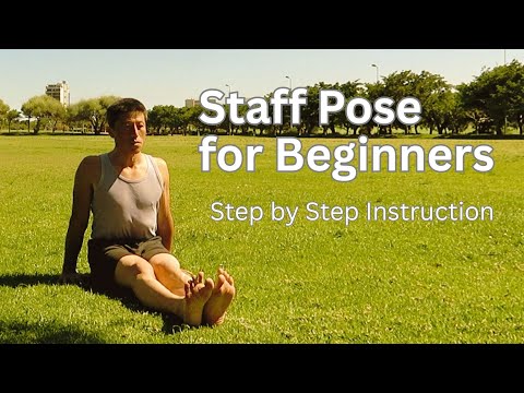Staff Pose (Dandasana) for Beginners | Step-by-Step Yoga Tutorial