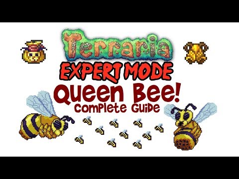 Terraria: Queen Bee Boss Guide