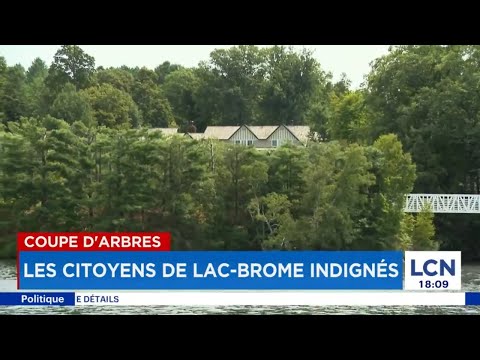 Le président du CA de Bombardier a fait couper des arbres pour améliorer sa vue sur le lac Brome