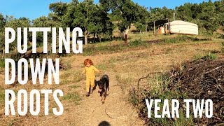 Living our dream life, off-grid in Central Portugal - Year two