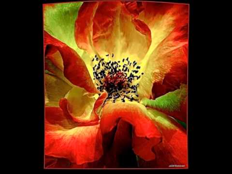 Seuste si mi se ----- Tandemi