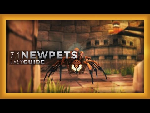 WoW :: HOW TO TAME THE NEW 7.1 PETS