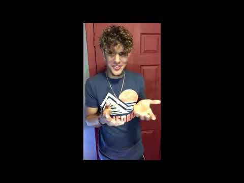 Jensi jenno elkmasecura (la visita)