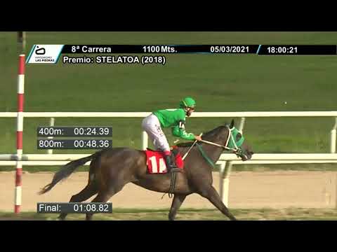 210305 c08 - JOANA - HIPODROMO LAS PIEDRAS