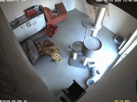 Mobotix time lapse Achim, Germany, 2008-2010 - ID - 976