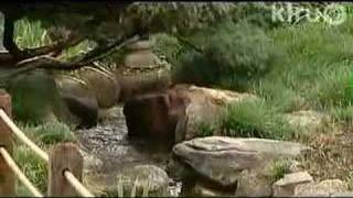 Nimitz Garden of Peace:  Central Texas Gardener