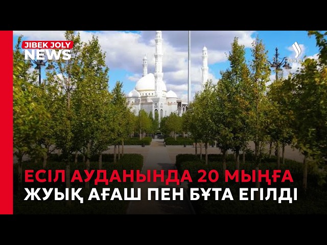Есіл ауданында 20 мыңға жуық ағаш пен бұта егілді