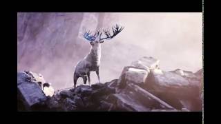 WAR NO MORE- N68's New Day Mix