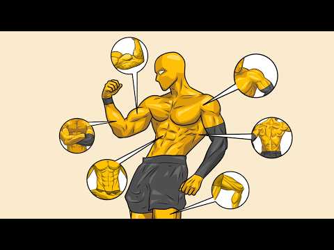 How your body changes with calisthenics?