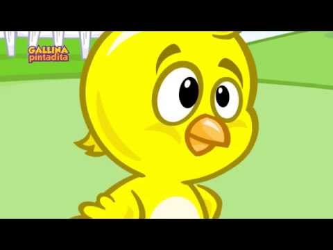 Pollito Amarillito - Gallina Pintadita - videos para bebés