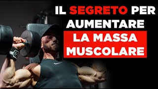 Come creare una SCHEDA per la MASSA MUSCOLARE