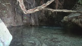 The Baths of Aphrodite - A Tour with Gorilla199