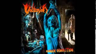 Volturyon-Human Demolition EP 2014 (Full EP)