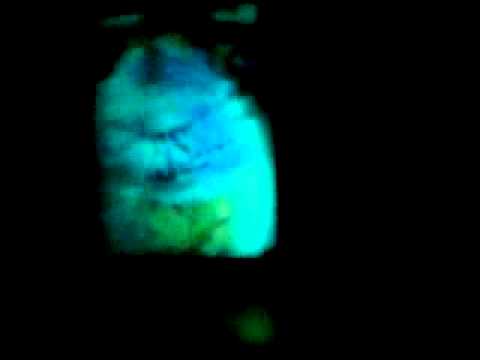 Topix,2011. March, 13 - 1