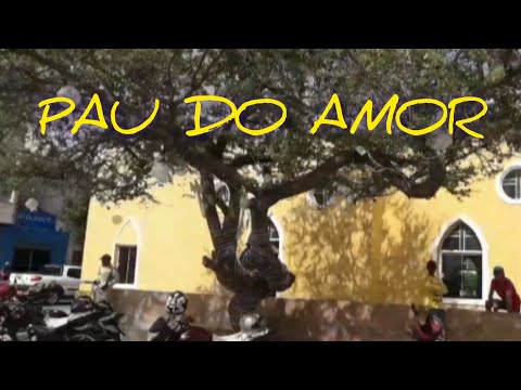 Ep.146) HOJE DEU CERTO .MOSTRANDO BECO DA FACADDA PARAMBU  CE.