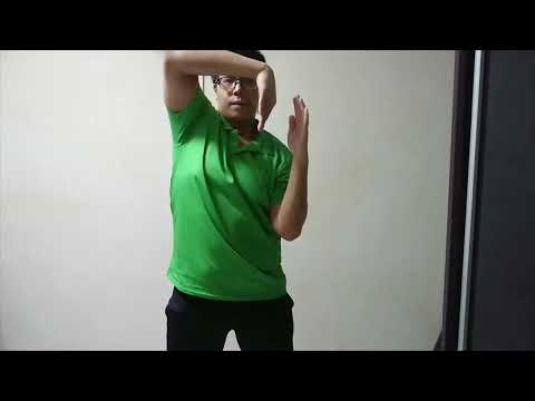 Prinz, A1 x J1, Gabriela Bee - Highs & Lows [Remix] (Lyric Video) | Dance (Freestyle) by Bing Xi