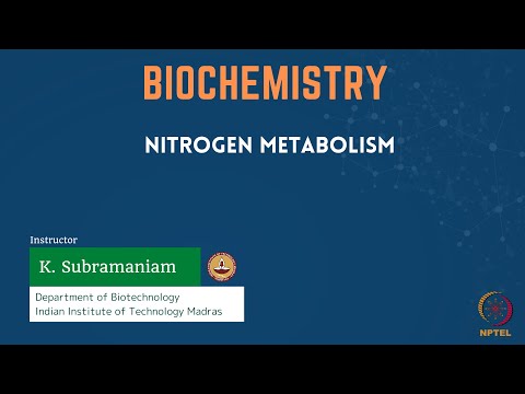 Nitrogen Metabolism