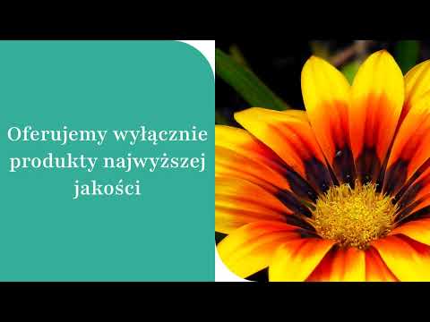 Magra PW Maciej Kozłowski - video