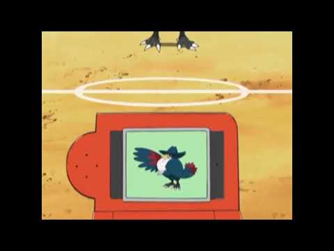 Honchkrow Pokédex Entry..wmv