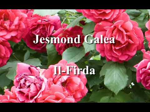 Jesmond Galea   Il Firda