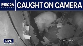 Two Houston restaurants burglarized