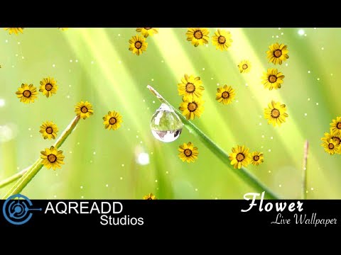 Flower photo Live Wallpaper Video