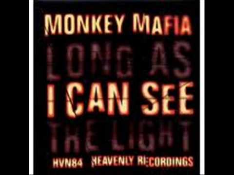 Long as I can see the light - Monkey Mafia - Adrian Sherwood mix.wmv